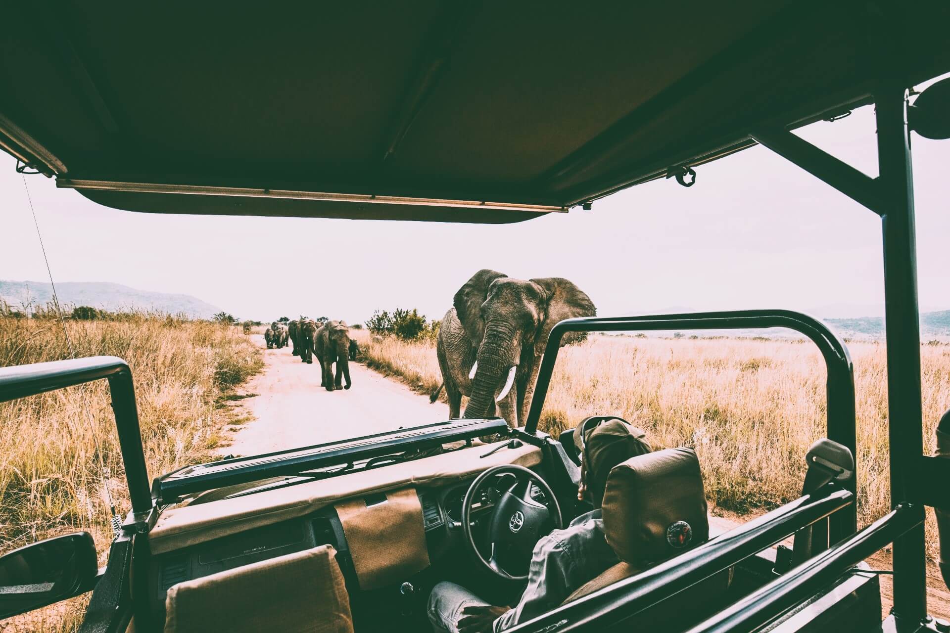 Afrique